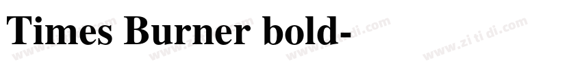 Times Burner bold字体转换